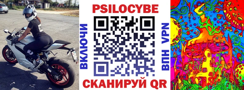 Купить  Брянск  Галлюциногенные грибы MAGIC MUSHROOMS 